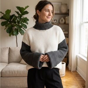 Colorblock Rib Knit Turtleneck Sweater - Black & White